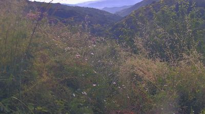 immagine della webcam nei dintorni di Pian di Sco': webcam Ortignano Raggiolo
