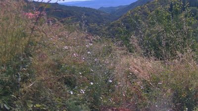 immagine della webcam nei dintorni di San Giovanni Valdarno: webcam Ortignano Raggiolo