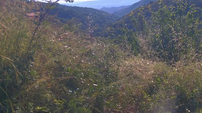 immagine della webcam nei dintorni di Montevarchi: webcam Ortignano Raggiolo