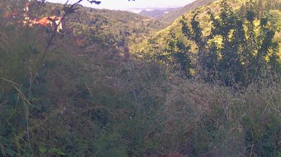 immagine della webcam nei dintorni di San Giovanni Valdarno: webcam Ortignano Raggiolo