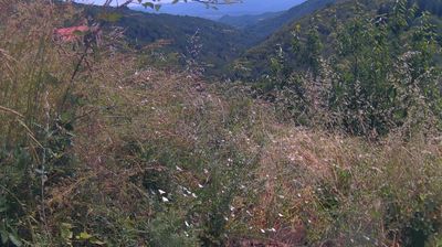 immagine della webcam nei dintorni di San Giovanni Valdarno: webcam Ortignano Raggiolo