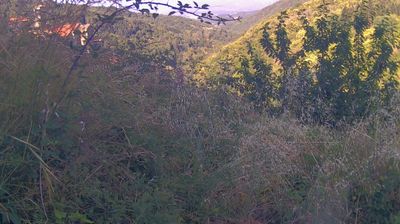 immagine della webcam nei dintorni di Chiusi della Verna: webcam Ortignano Raggiolo