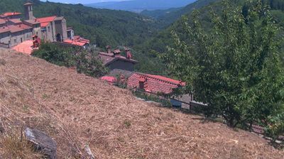 immagine della webcam nei dintorni di Passo della Consuma: webcam Ortignano Raggiolo