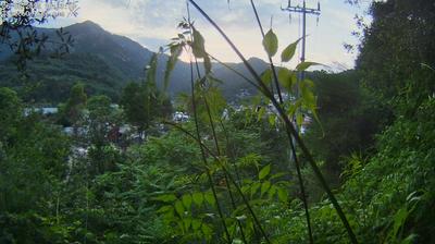 immagine della webcam nei dintorni di Bussana: webcam Dolceacqua