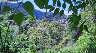 Preview delle webcam di Dolceacqua