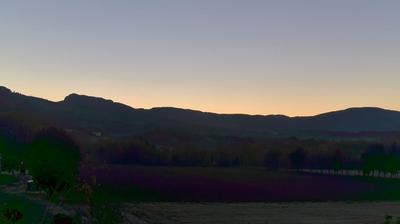 immagine della webcam nei dintorni di Pian di Sco': webcam Bibbiena