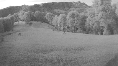 immagine della webcam nei dintorni di Carate Urio: webcam Campione d'Italia