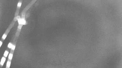 immagine della webcam nei dintorni di Cuasso al Monte: webcam Campione d'Italia