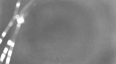 immagine della webcam nei dintorni di Cuasso al Monte: webcam Campione d'Italia