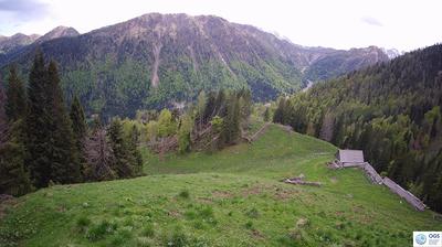 immagine della webcam nei dintorni di Lorenzago di Cadore: webcam Sauris
