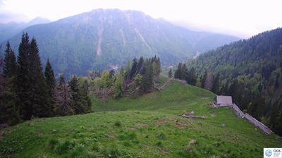 immagine della webcam nei dintorni di San Pietro di Cadore: webcam Sauris