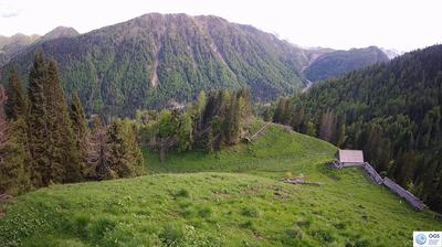 immagine della webcam nei dintorni di Santo Stefano di Cadore: webcam Sauris