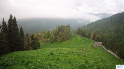 immagine della webcam nei dintorni di Vigo di Cadore: webcam Sauris