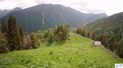 immagine della webcam nei dintorni di Vigo di Cadore: webcam Sauris