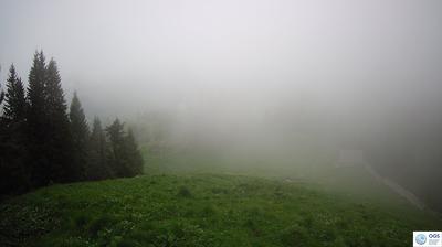 immagine della webcam nei dintorni di San Pietro di Cadore: webcam Sauris