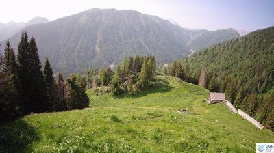 immagine della webcam nei dintorni di Ampezzo: webcam Sauris