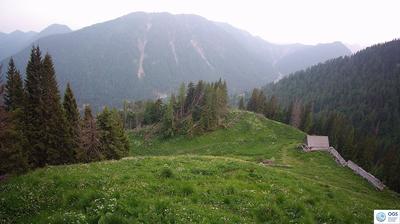 immagine della webcam nei dintorni di Forni di Sopra: webcam Sauris