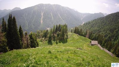 immagine della webcam nei dintorni di Forni di Sopra: webcam Sauris