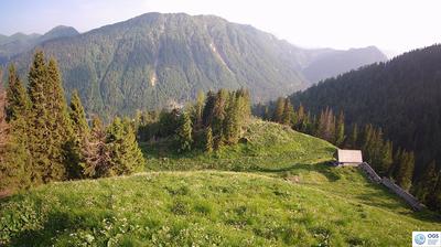 immagine della webcam nei dintorni di Forni di Sopra: webcam Sauris