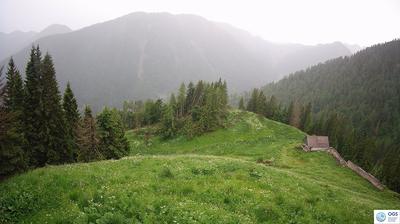 immagine della webcam nei dintorni di Santo Stefano di Cadore: webcam Sauris