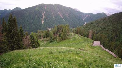immagine della webcam nei dintorni di Laggio di Cadore: webcam Sauris