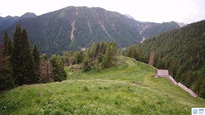 immagine della webcam nei dintorni di Cercivento: webcam Sauris