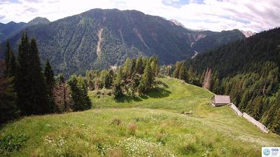 immagine della webcam nei dintorni di Campolongo di Cadore: webcam Sauris