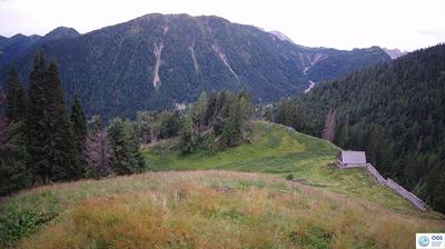immagine della webcam nei dintorni di San Nicolò di Comelico: webcam Sauris