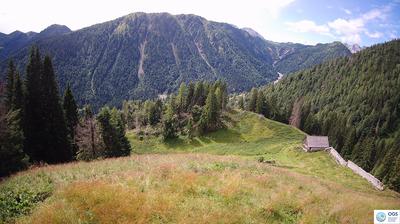 immagine della webcam nei dintorni di Forni di Sopra: webcam Sauris