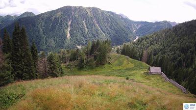 immagine della webcam nei dintorni di Ampezzo: webcam Sauris
