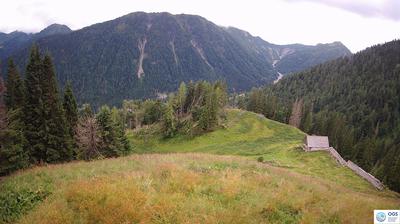 immagine della webcam nei dintorni di Forni di Sopra: webcam Sauris