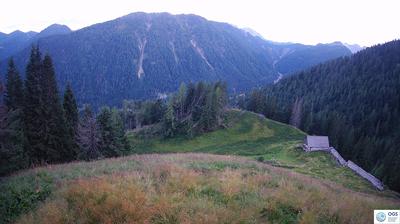 immagine della webcam nei dintorni di Sappada: webcam Sauris