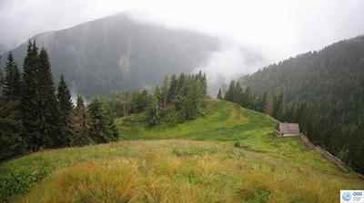 immagine della webcam nei dintorni di Caneva di Tolmezzo: webcam Sauris