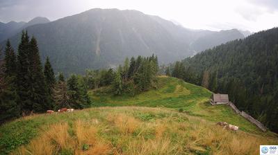 immagine della webcam nei dintorni di Domegge di Cadore: webcam Sauris