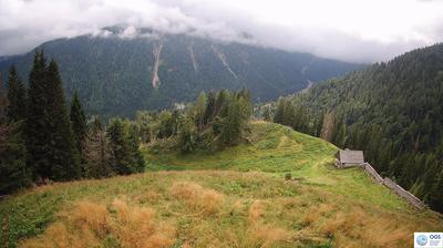 immagine della webcam nei dintorni di San Nicolò di Comelico: webcam Sauris