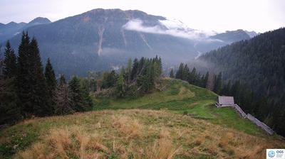 immagine della webcam nei dintorni di San Pietro di Cadore: webcam Sauris