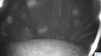 immagine della webcam nei dintorni di Padola: webcam Sauris