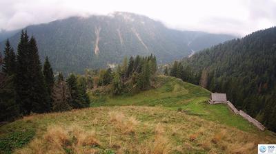 immagine della webcam nei dintorni di Domegge di Cadore: webcam Sauris