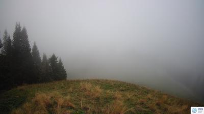 immagine della webcam nei dintorni di Sappada: webcam Sauris
