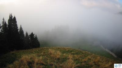 immagine della webcam nei dintorni di Caneva di Tolmezzo: webcam Sauris