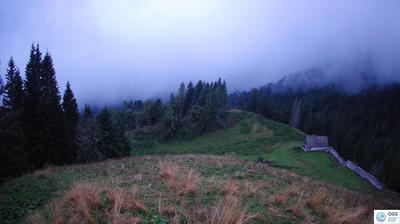 immagine della webcam nei dintorni di Calalzo di Cadore: webcam Sauris