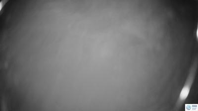 immagine della webcam nei dintorni di Comelico Superiore: webcam Sauris