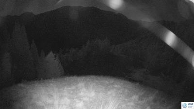 immagine della webcam nei dintorni di San Nicolò di Comelico: webcam Sauris