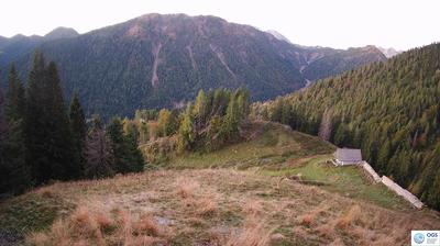 immagine della webcam nei dintorni di Ovaro: webcam Sauris