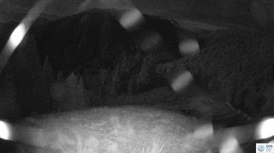 immagine della webcam nei dintorni di Lorenzago di Cadore: webcam Sauris