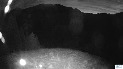immagine della webcam nei dintorni di Forni di Sopra: webcam Sauris