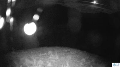 immagine della webcam nei dintorni di Ampezzo: webcam Sauris