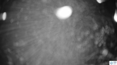 immagine della webcam nei dintorni di Sappada: webcam Sauris