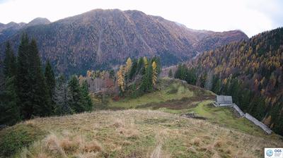immagine della webcam nei dintorni di Laggio di Cadore: webcam Sauris