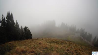 immagine della webcam nei dintorni di Monte Zoncolan: webcam Sauris